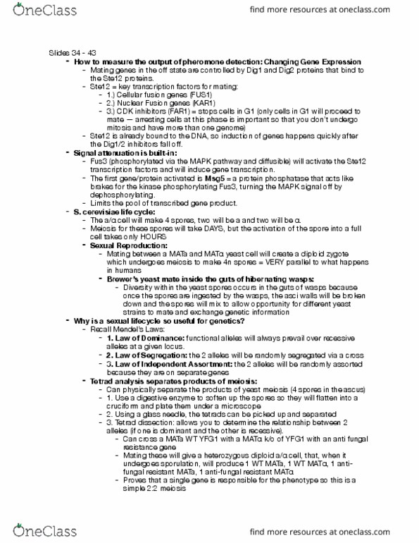 MICR 302 Lecture Notes - Lecture 2: Fus3, Ascus, Meiosis thumbnail