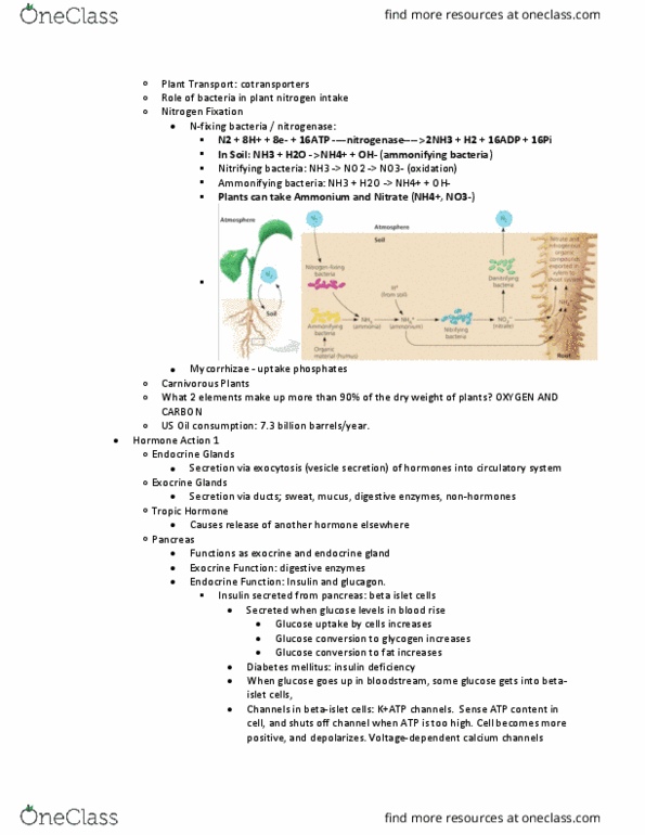 BILD 2 Lecture Notes - Lecture 13: Nitrifying Bacteria, Nitrogenase, Blood Sugar thumbnail