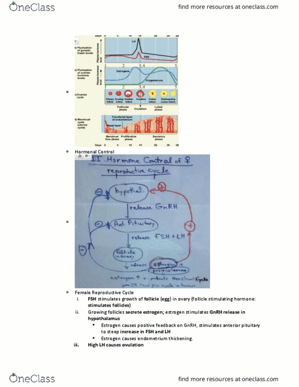 document preview image