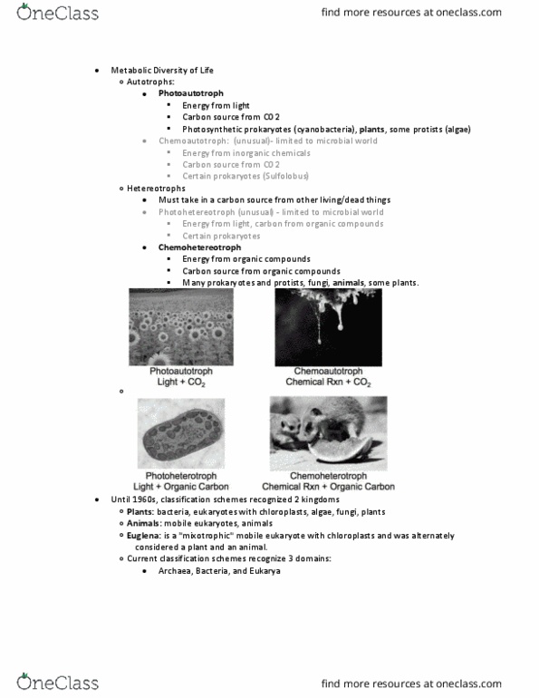 BILD 3 Lecture Notes - Lecture 12: Sulfolobus, Mixotroph, Euglena thumbnail