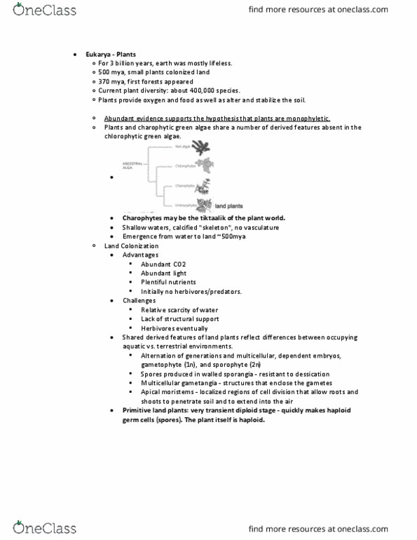 BILD 3 Lecture Notes - Lecture 13: Charophyta, Eukaryote, Tiktaalik thumbnail