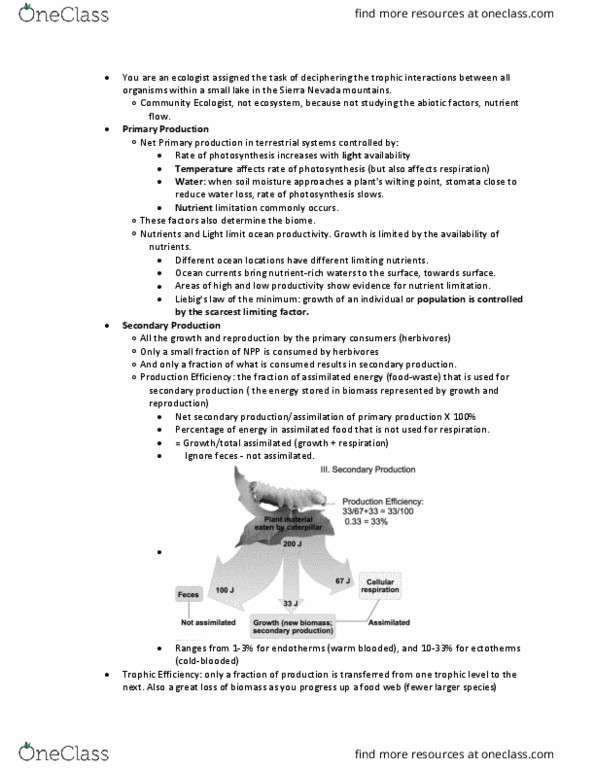 BILD 3 Lecture Notes - Lecture 19: Permanent Wilting Point, Stoma, Photosynthesis thumbnail