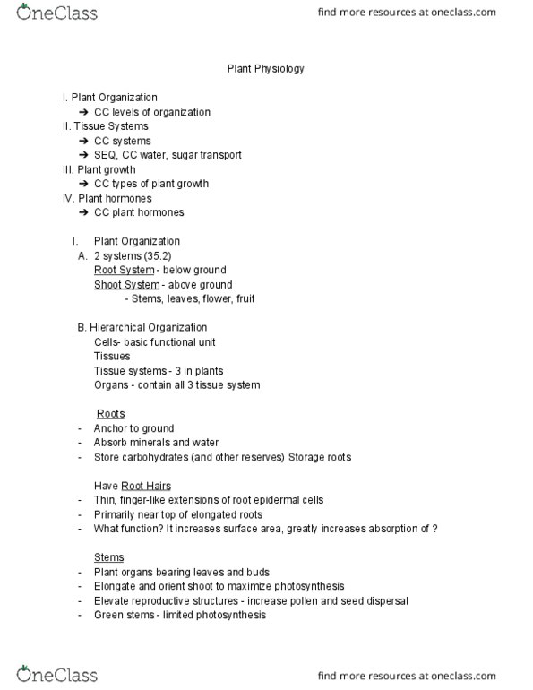 01:119:115 Lecture Notes - Lecture 10: Ground Tissue, Cytokinesis, Xylem thumbnail