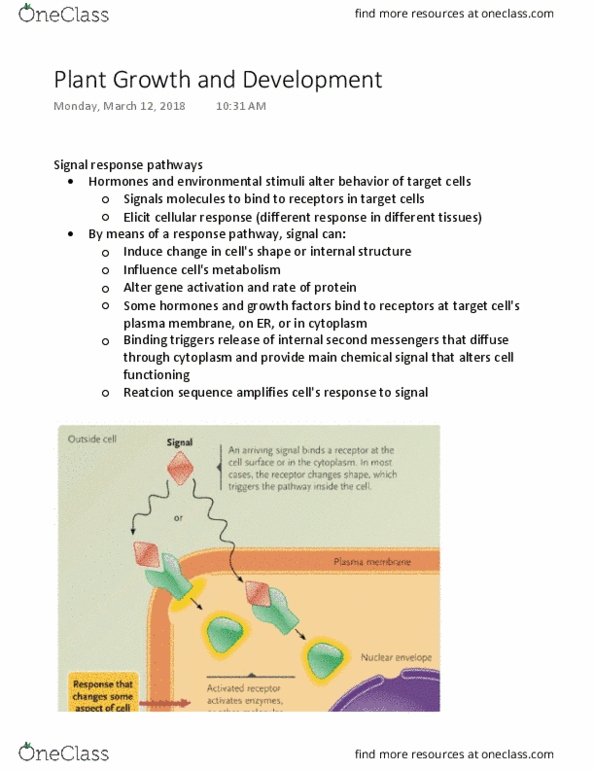 BI111 Lecture Notes - Lecture 9: Dicotyledon, Photoperiodism, Nastic Movements thumbnail