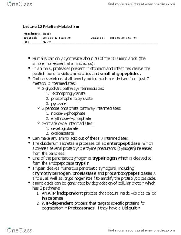 BIOC13H3 Lecture Notes - Aspartate Transaminase, Amino Acid, Citrulline thumbnail