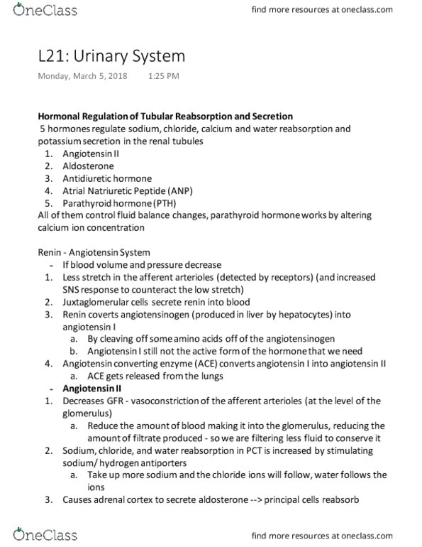 KINESIOL 2YY3 Lecture Notes - Lecture 21: Urethra, Natriuresis, Descending Limb Of Loop Of Henle thumbnail