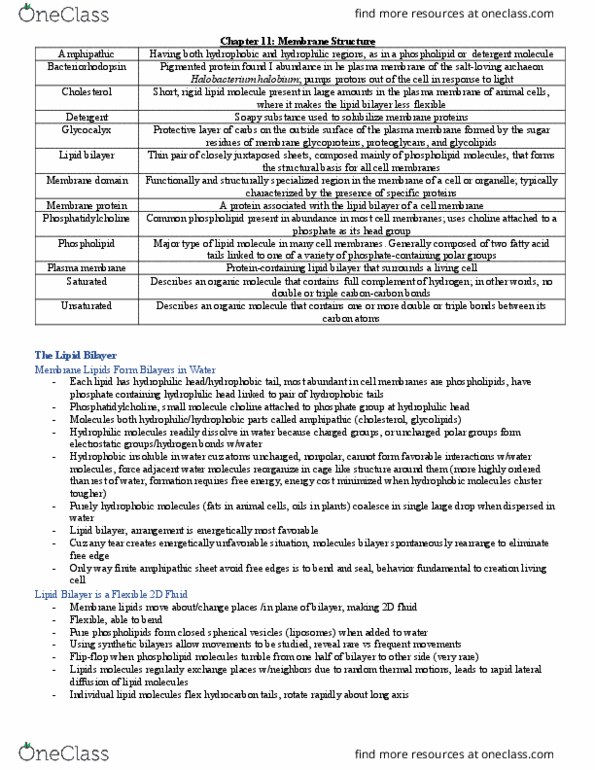 BIOL 212 Chapter Notes - Chapter 11: Membrane Fluidity, Transmembrane Protein, Peptide thumbnail