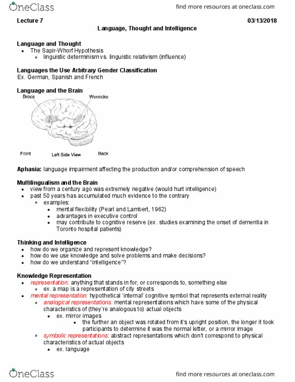 PSY100H1 Lecture Notes - Lecture 7: Language Disorder, Cognitive Reserve, Fluid And Crystallized Intelligence thumbnail