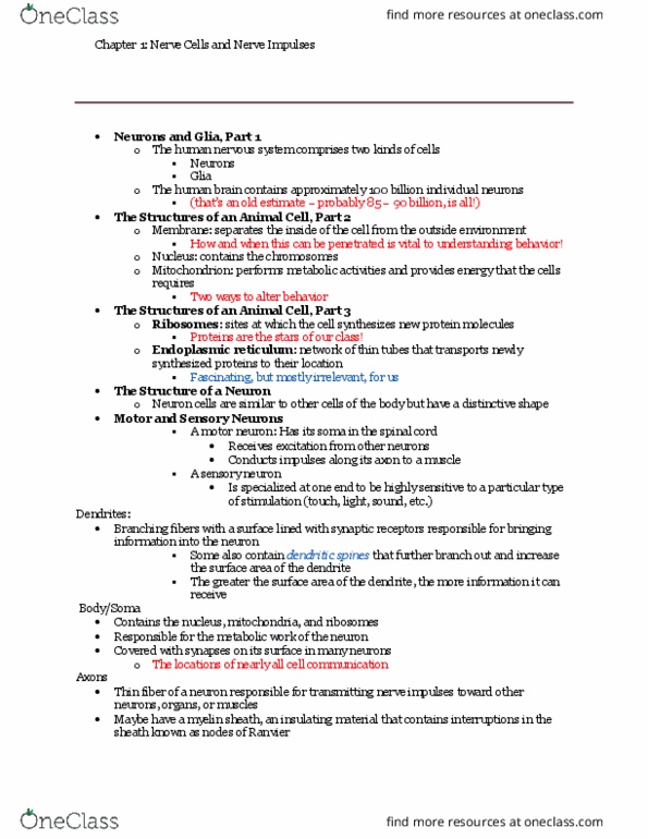 PSY-303 Chapter Notes - Chapter 1: Motor Neuron, Procaine, Microsoft Onenote thumbnail