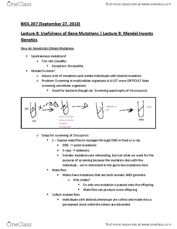 BIOL207 Lecture Notes - Lecture 8: Model Organism, Reciprocal Cross, Telomerase Rna Component thumbnail