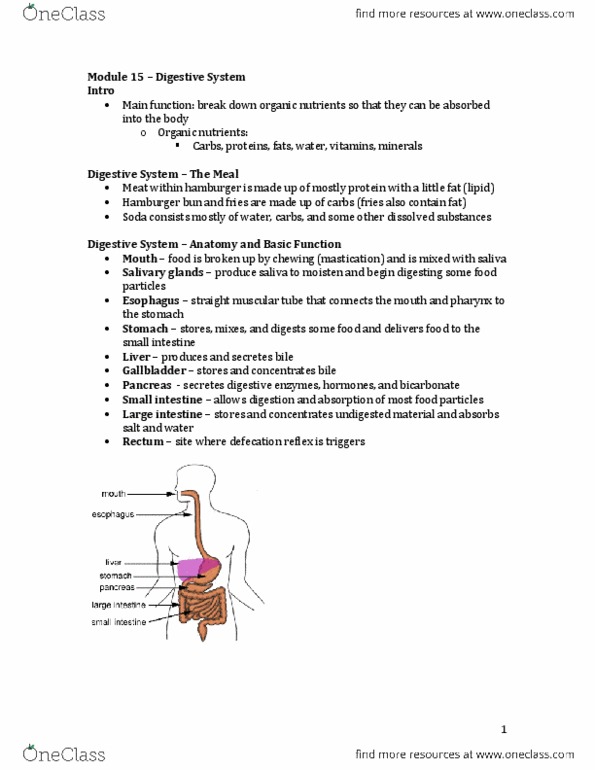 Physiology 2130 Chapter Notes -Osmotic Concentration, Niacin, Parietal Cell thumbnail