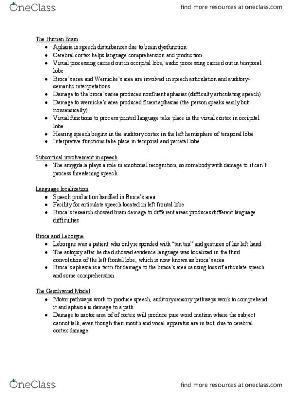 LING 1P92 Chapter Notes - Chapter 2: Muteness, Visual Processing, Parietal Lobe thumbnail