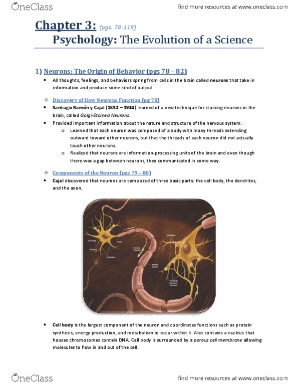 PSYA01H3 Chapter Notes - Chapter 3: Neural Tube, Ct Scan, Positron thumbnail