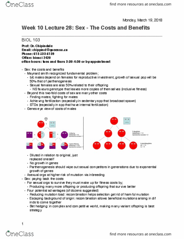 BIOL 103 Lecture Notes - Lecture 28: Sequential Hermaphroditism, Limiting Factor, Wrasse thumbnail