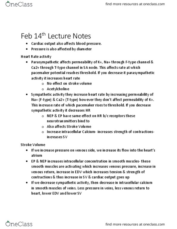 KINE 3012 Lecture Notes - Lecture 14: Diastole, Cardiac Muscle, Coronary Circulation thumbnail