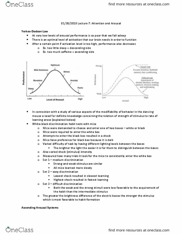 PSYC 4750 Lecture Notes - Lecture 7: White Noise, Hyperactivation, Prefrontal Cortex thumbnail