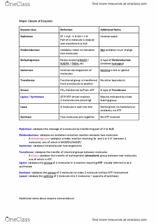 Biol Study Guide Spring Final Atp Synthase Oxidoreductase Enzyme Commission Number