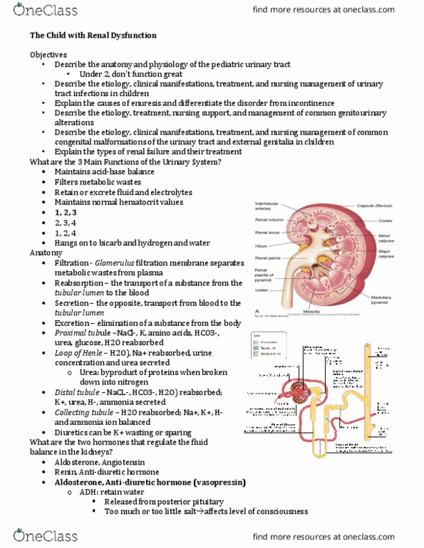 NURS 3444 Lecture Notes - Lecture 28: Hypoproteinemia, Thrombus, Chemotherapy thumbnail