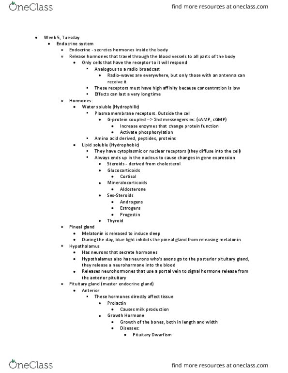 BILD 2 Lecture Notes - Lecture 10: Insulin, Testicle, Duodenum thumbnail