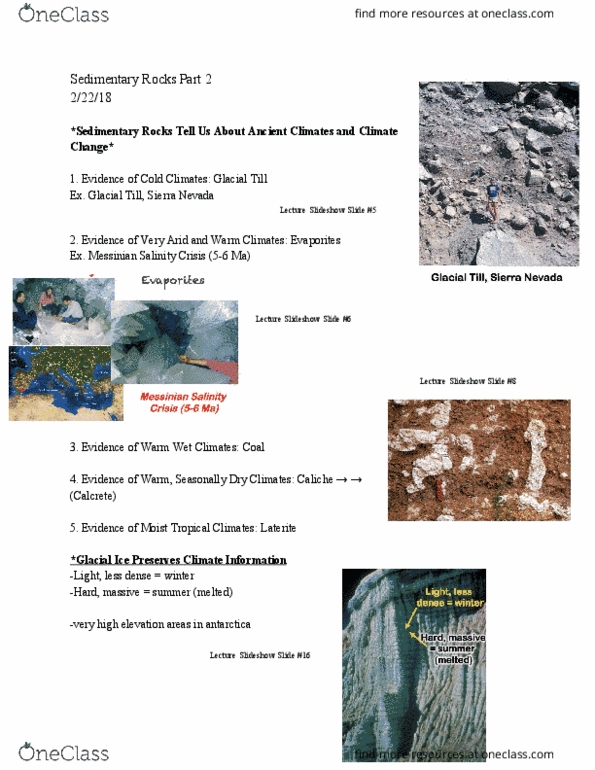 GEOSCI 100 Lecture Notes - Lecture 10: Metamorphic Rock, Phyllite, Schist thumbnail