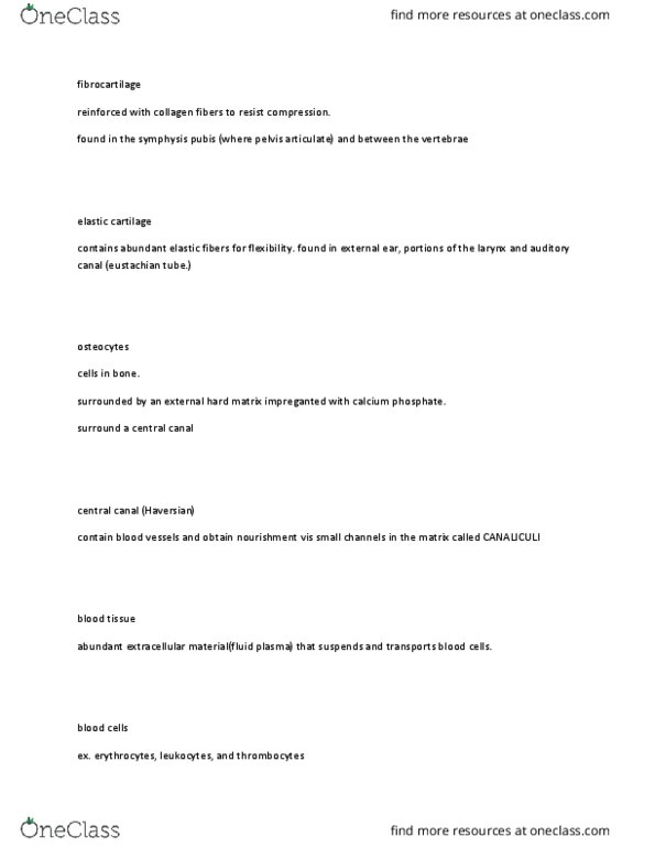 PCB 2099 Lecture Notes - Lecture 30: Trachea, Bronchus, Hyaline Cartilage thumbnail