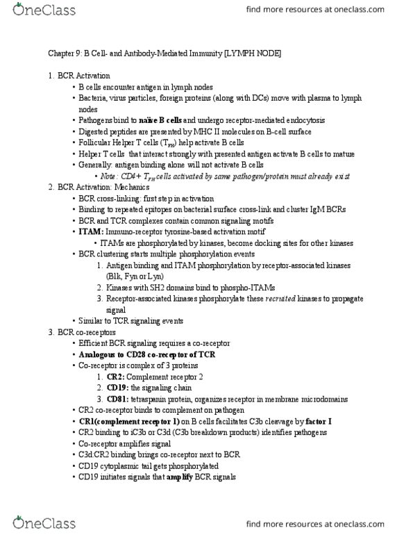 CAS BI 385 Lecture Notes - Lecture 18: Immunological Synapse, Immunoglobulin Class Switching, Germinal Center thumbnail