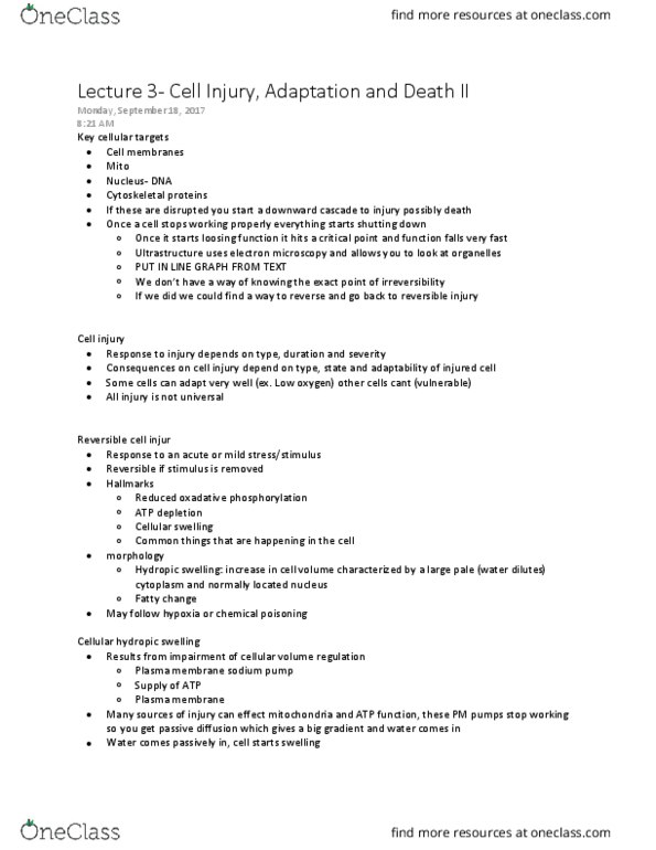 Pathology 3500 Lecture Notes - Lecture 3: Cirrhosis, Trypsin, Lipoprotein thumbnail