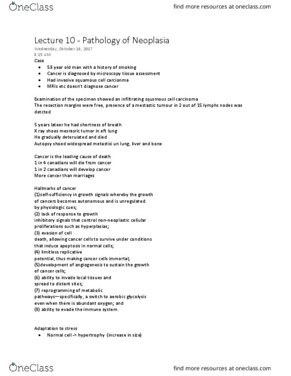 Pathology 3500 Lecture Notes - Lecture 10: Germ Layer, Teratoma, Mitosis thumbnail