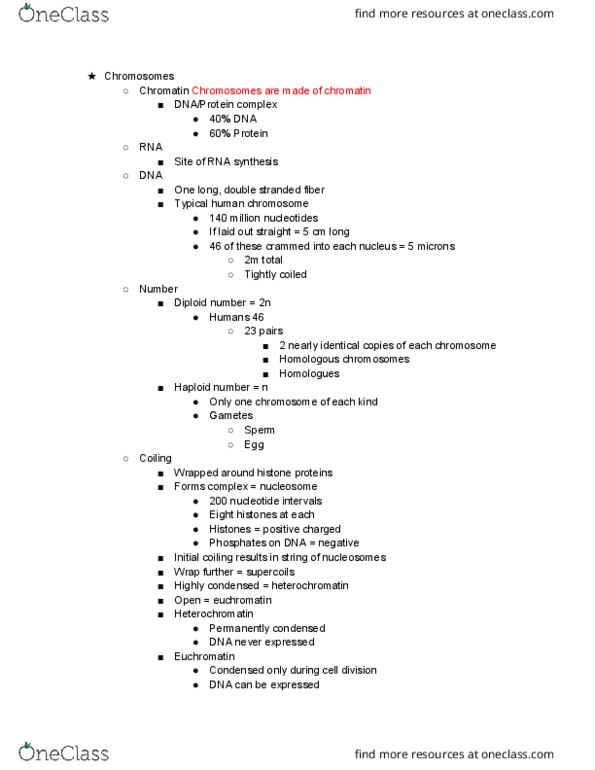 BIOL 1111 Lecture Notes - Lecture 16: Angiogenesis, Ribosomal Rna, Nucleolus thumbnail