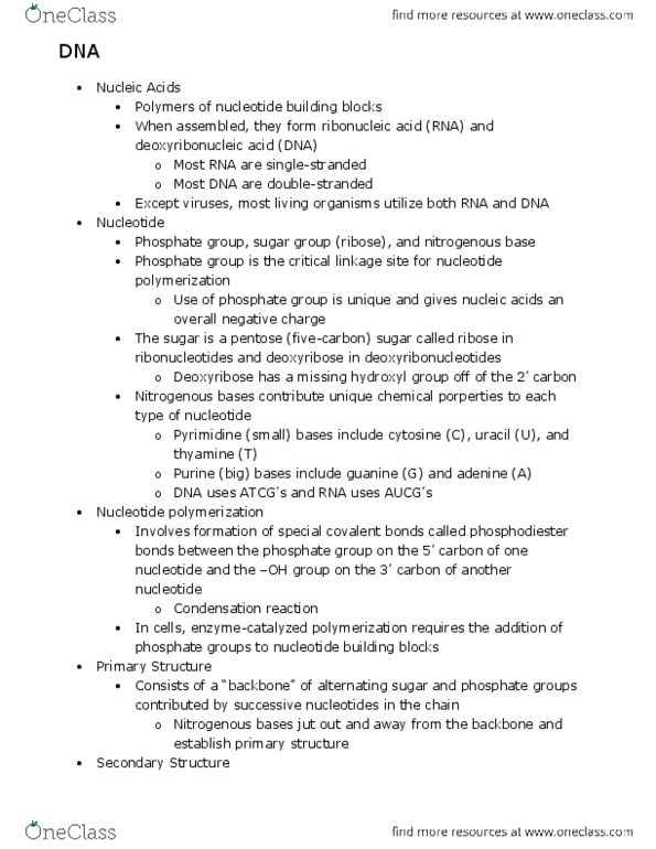 BIO 181 Lecture Notes - Condensation Reaction, Hydrophile, Hydrogen Bond thumbnail