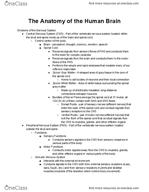 PSYC 2307 Lecture Notes - Lecture 11: Midbrain Tectum, Forebrain, Cytoplasm thumbnail