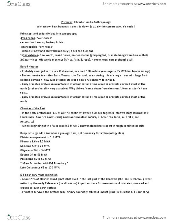 ANTH 110 Lecture Notes - Maximum Life Span, Termite, Weaning thumbnail