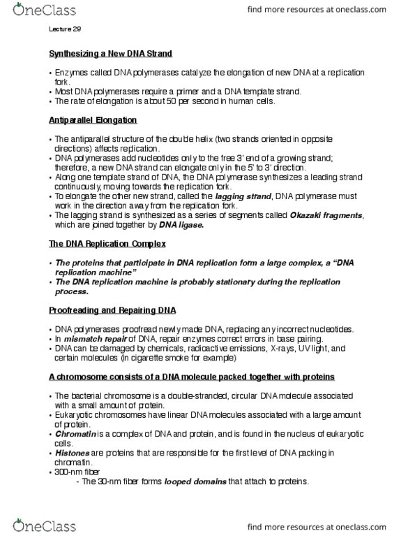 BIOL 1020 Lecture Notes - Lecture 29: Metaphase, Dna Replication, Dna Mismatch Repair thumbnail