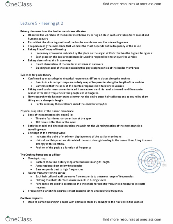 Psychology 2015A/B Lecture Notes - Lecture 7: Neural Coding, Monaural, Interaural Time Difference thumbnail