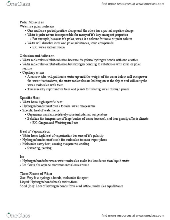 BIO 121 Lecture Notes - Ion, Ethane, Enantiomer thumbnail