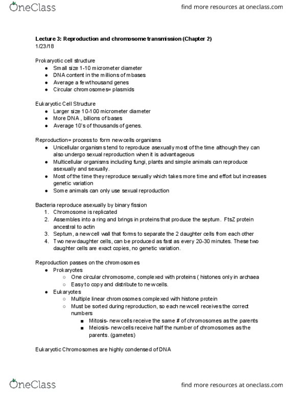 BIO 326 Lecture Notes - Lecture 3: Sister Chromatids, Cytogenetics, Ovulation thumbnail