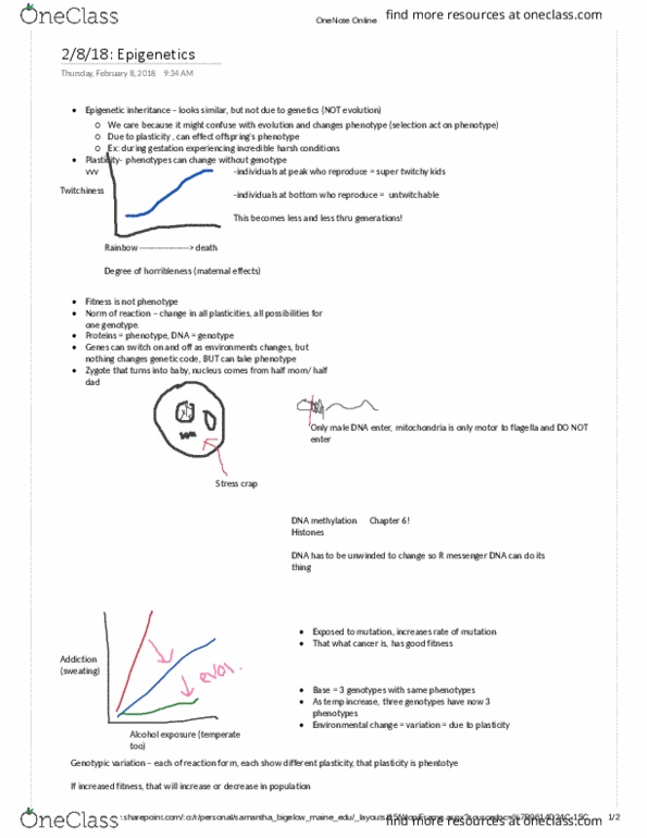 BIO 465 Lecture Notes - Lecture 5: Transgenerational Epigenetic Inheritance, Microsoft Onenote thumbnail