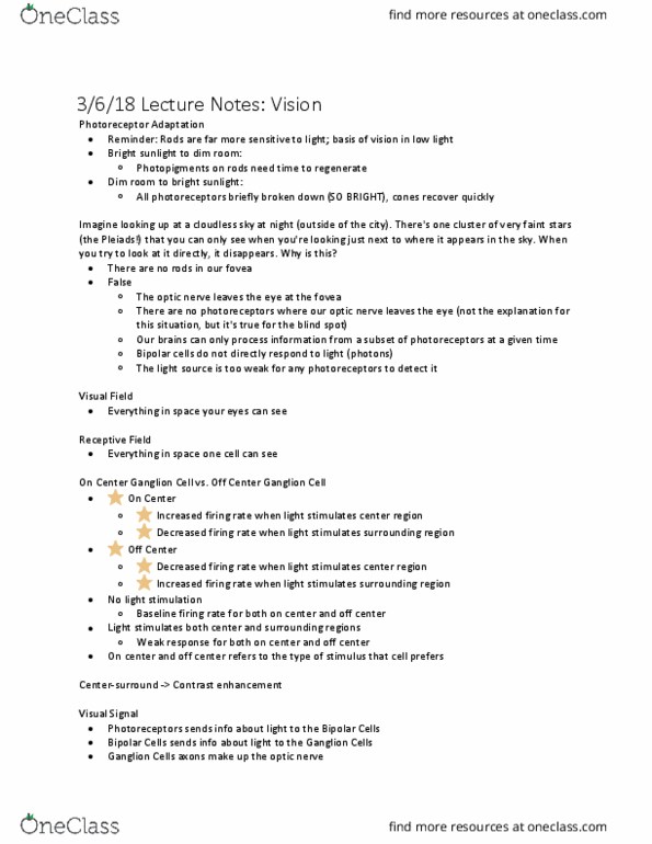 PSYCH 202 Lecture Notes - Lecture 40: Simple Cell, David H. Hubel, Optic Chiasm thumbnail