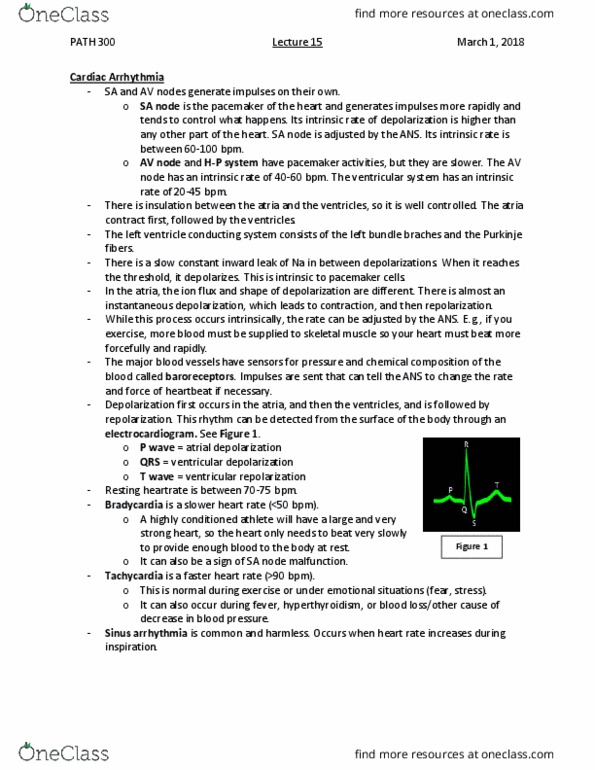 PATH 300 Lecture Notes - Lecture 15: Thrombus, Diuretic, Rheumatic Fever thumbnail