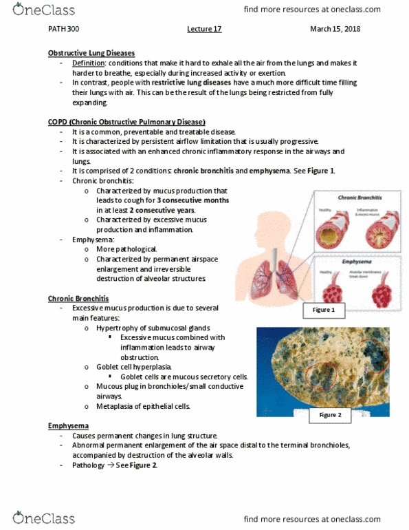 PATH 300 Lecture Notes - Lecture 17: Lung Transplantation, Immunoglobulin Class Switching, Neutrophil thumbnail