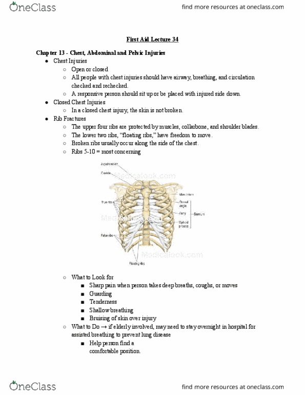 HLTH 216 Lecture Notes - Lecture 34: Rib Cage, Shallow Breathing thumbnail