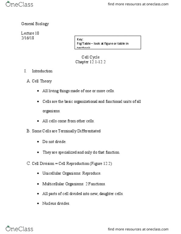 01:119:115 Lecture Notes - Lecture 10: Spindle Apparatus, Chromatin, Kinetochore thumbnail