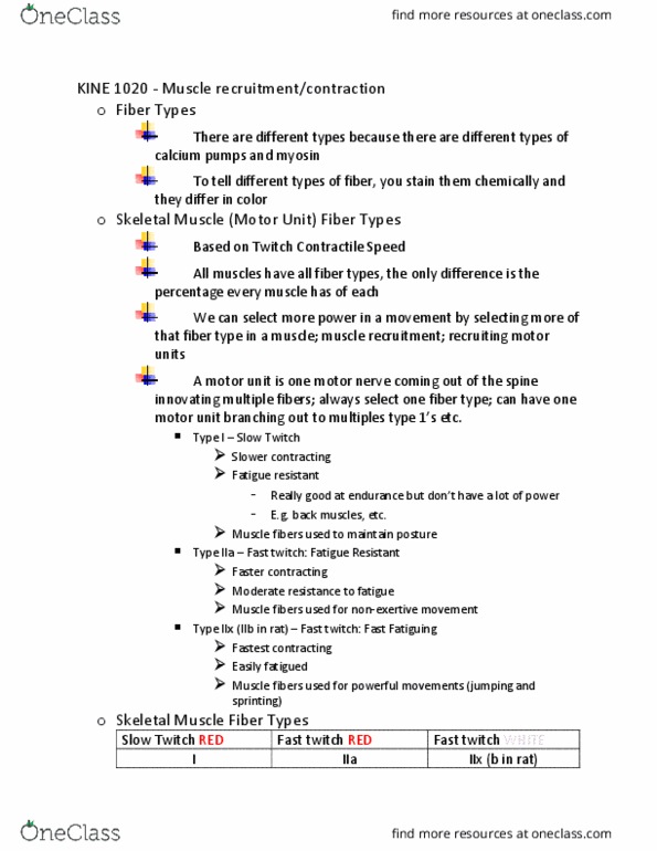 KINE 1020 Lecture Notes - Lecture 4: University Of Manchester, Sarcomere, Soleus Muscle thumbnail