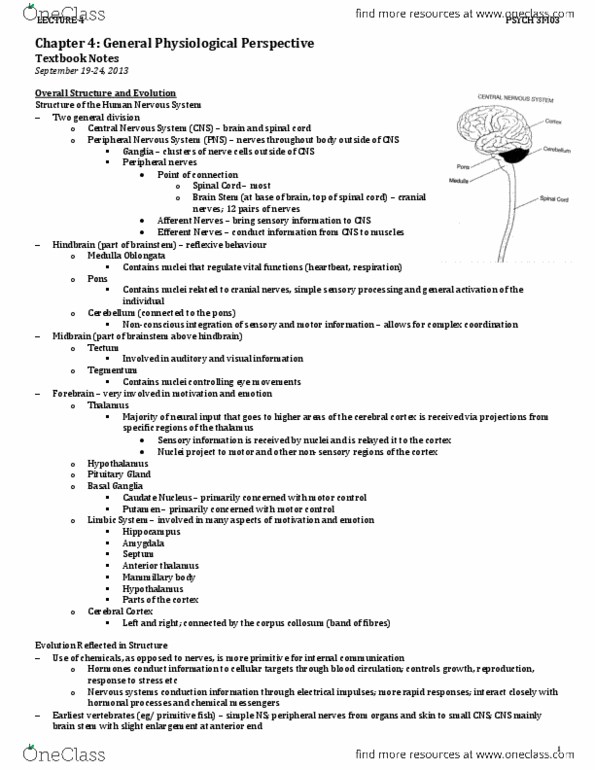 PSYCH 3M03 Chapter Notes - Chapter 4: Adrenocorticotropic Hormone, Acetyl-Coa, Preganglionic Nerve Fibers thumbnail