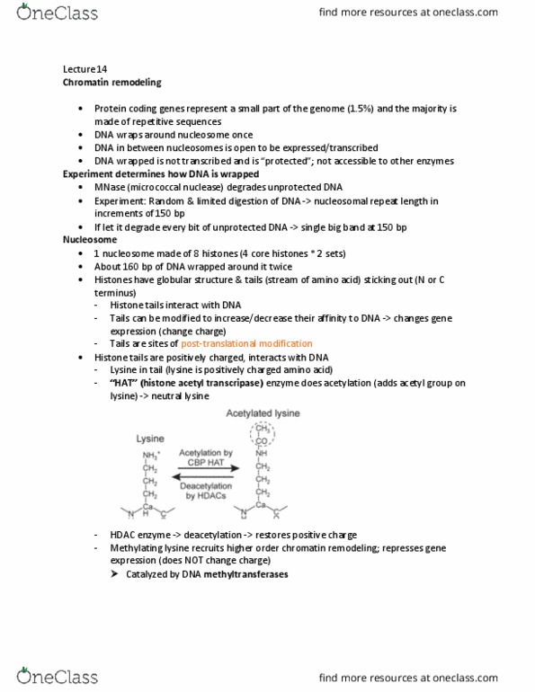 LIFESCI 3 Lecture Notes - Lecture 14: Heterochromatin, Chromodomain, Bromodomain thumbnail