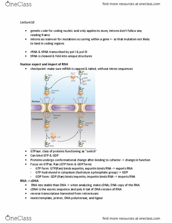 LIFESCI 3 Lecture Notes - Lecture 18: Nucleophile, Pyrophosphate, Endergonic Reaction thumbnail