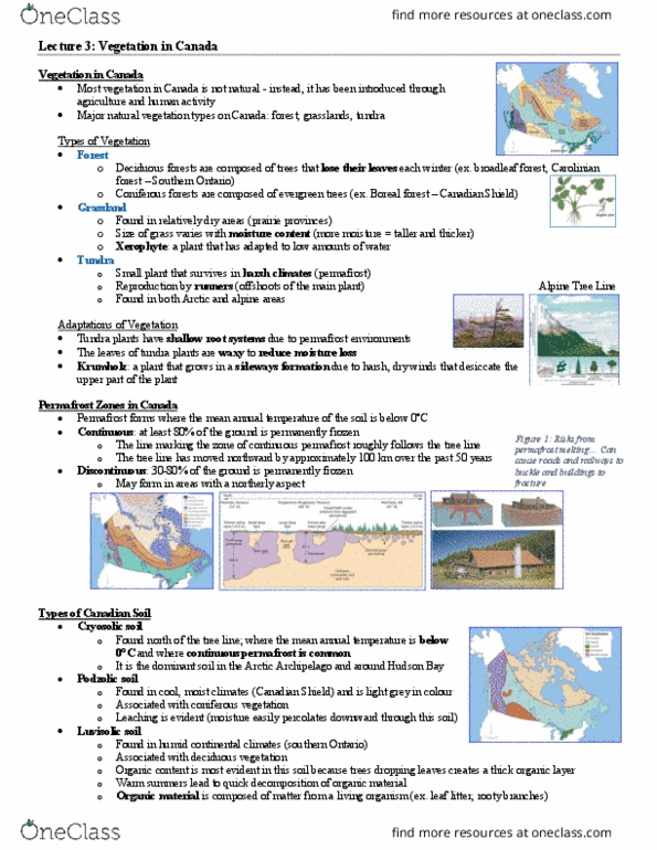 Geography 2010A/B Lecture Notes - Lecture 3: Glacier, John Palliser, Dynamic Equilibrium thumbnail