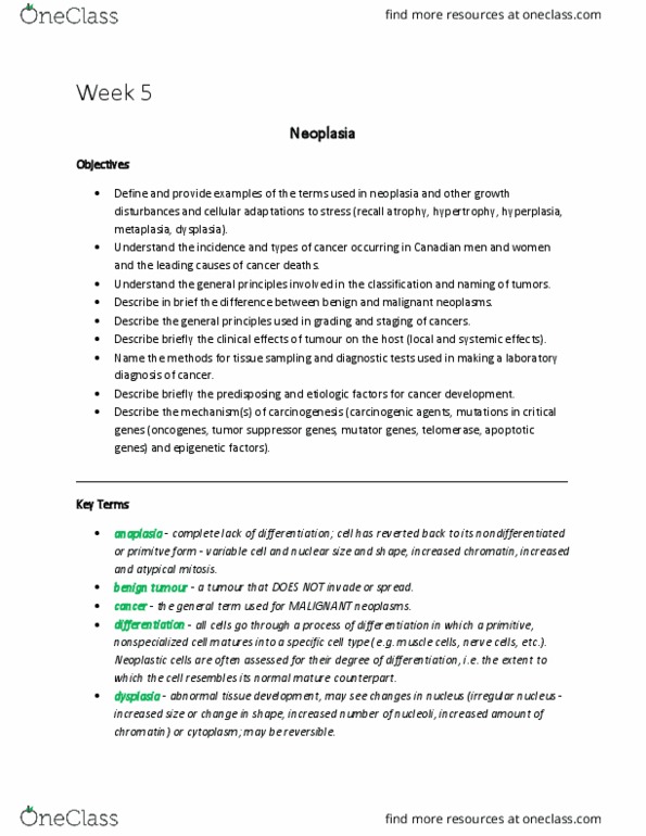 Pathology 2420A Lecture Notes - Lecture 6: Eosin, Hamartoma, Radiant Energy thumbnail