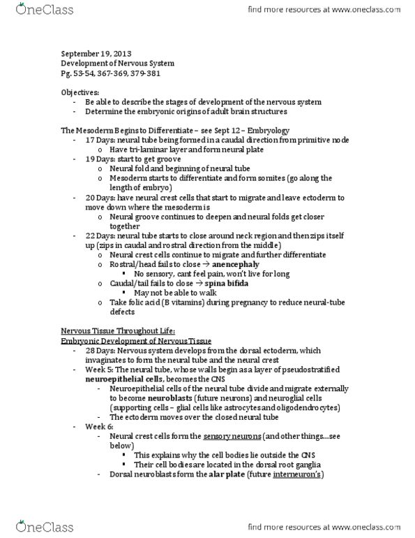 Anatomy and Cell Biology 3319 Chapter Notes -Epithalamus, Central Canal, Cerebral Cortex thumbnail