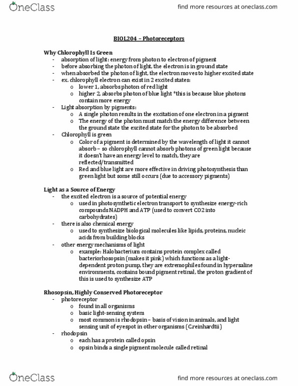 BIOL 204 Lecture Notes - Lecture 2: Retina, Bacteriorhodopsin, Accessory Pigment thumbnail